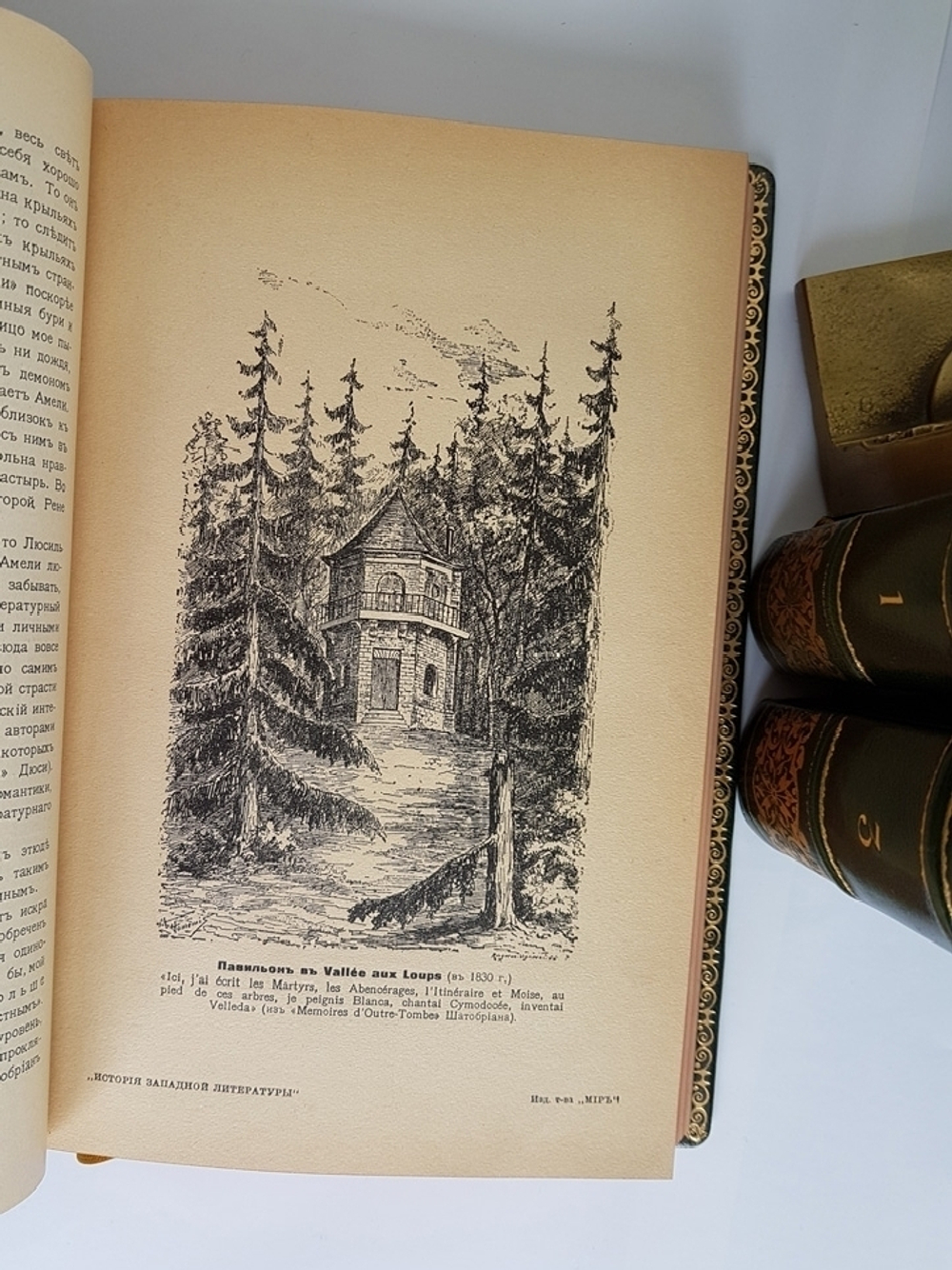 "История западной литературы (1800-1910)". . 1912г. - антикварное издание