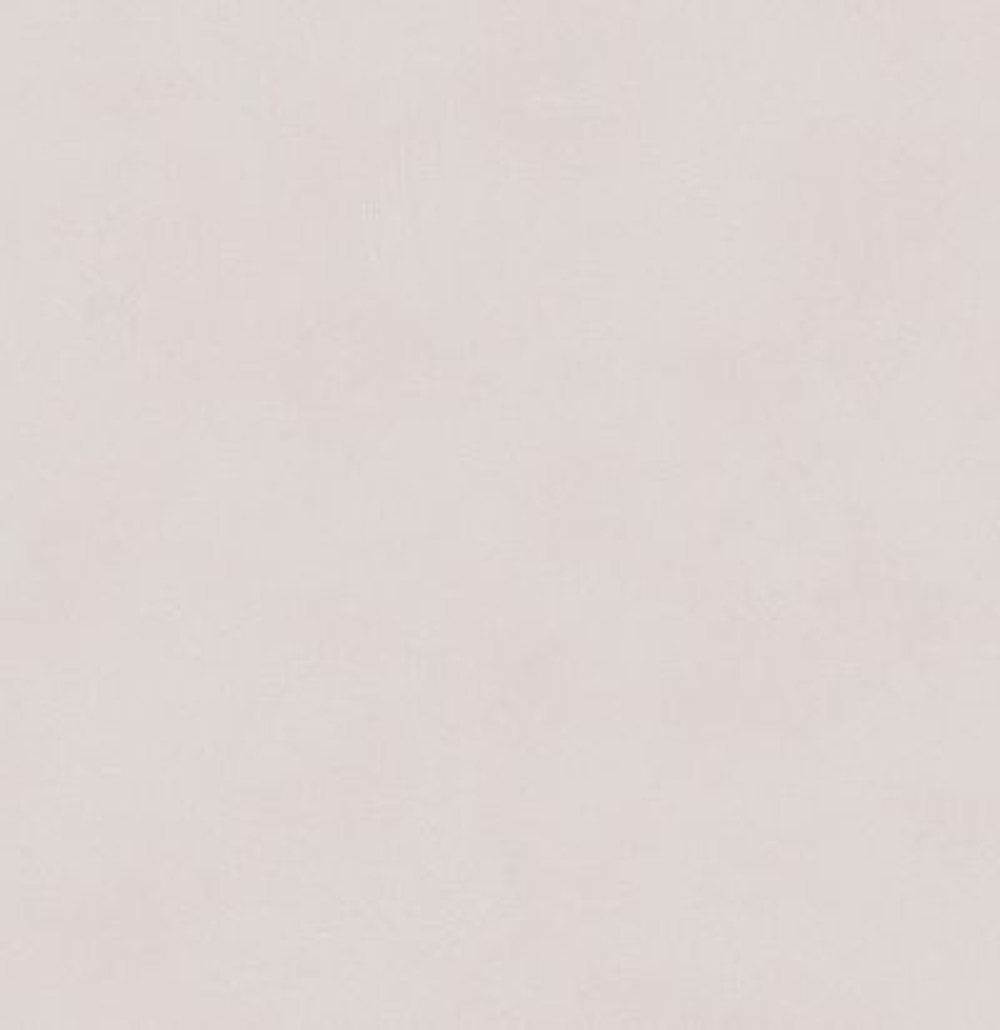 Обои матовые с иммитацией штукатурки BLONE1022