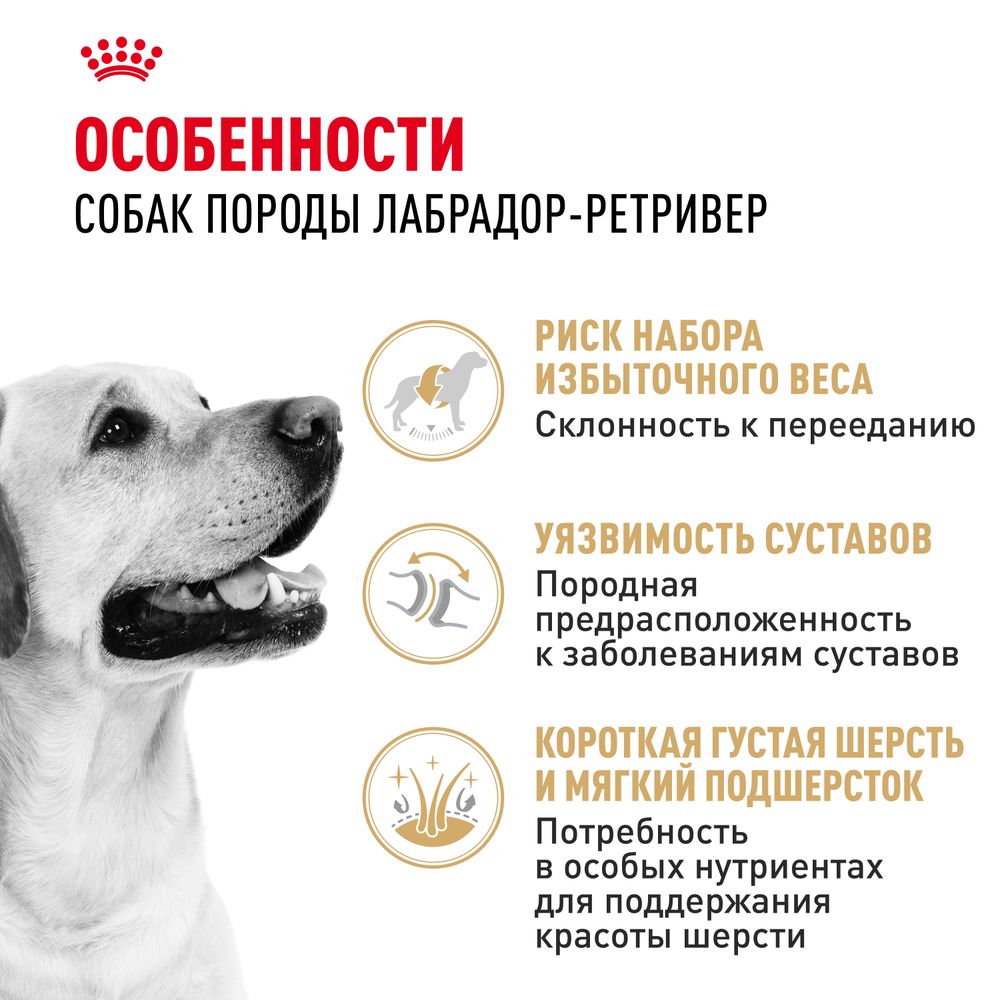 Сухой корм Royal Canin Labrador Retriever Adult для взрослых собак породы Лабрадор Ретривер от 15 месяцев Сухой корм Royal Canin Labrador Retriever Adult для взрослых собак породы Лабрадор Ретривер от 15 месяцев