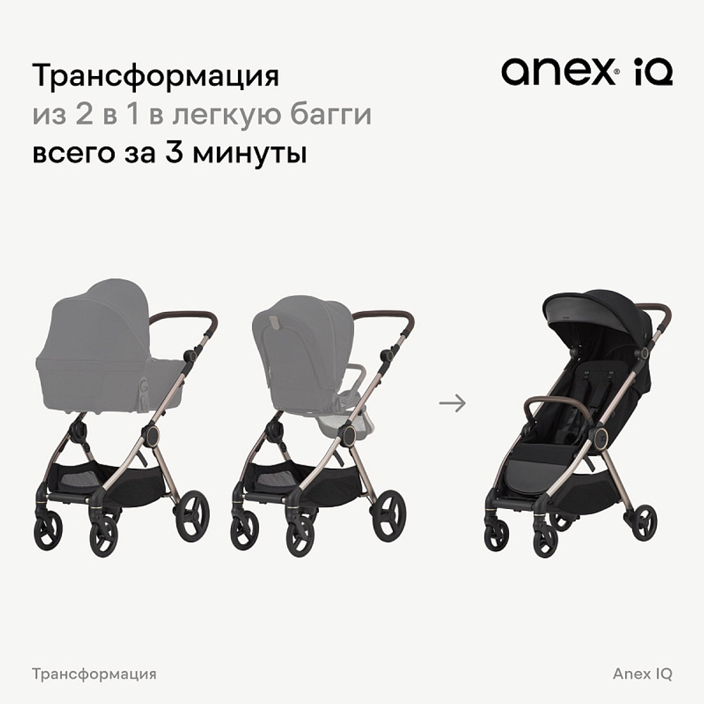 Детская коляска Anex iQ Basic NT 2 в 1 Sienna