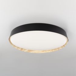 Citilux BONNY CL754451G LED RGB Светильник с пультом Чёрный + Клён