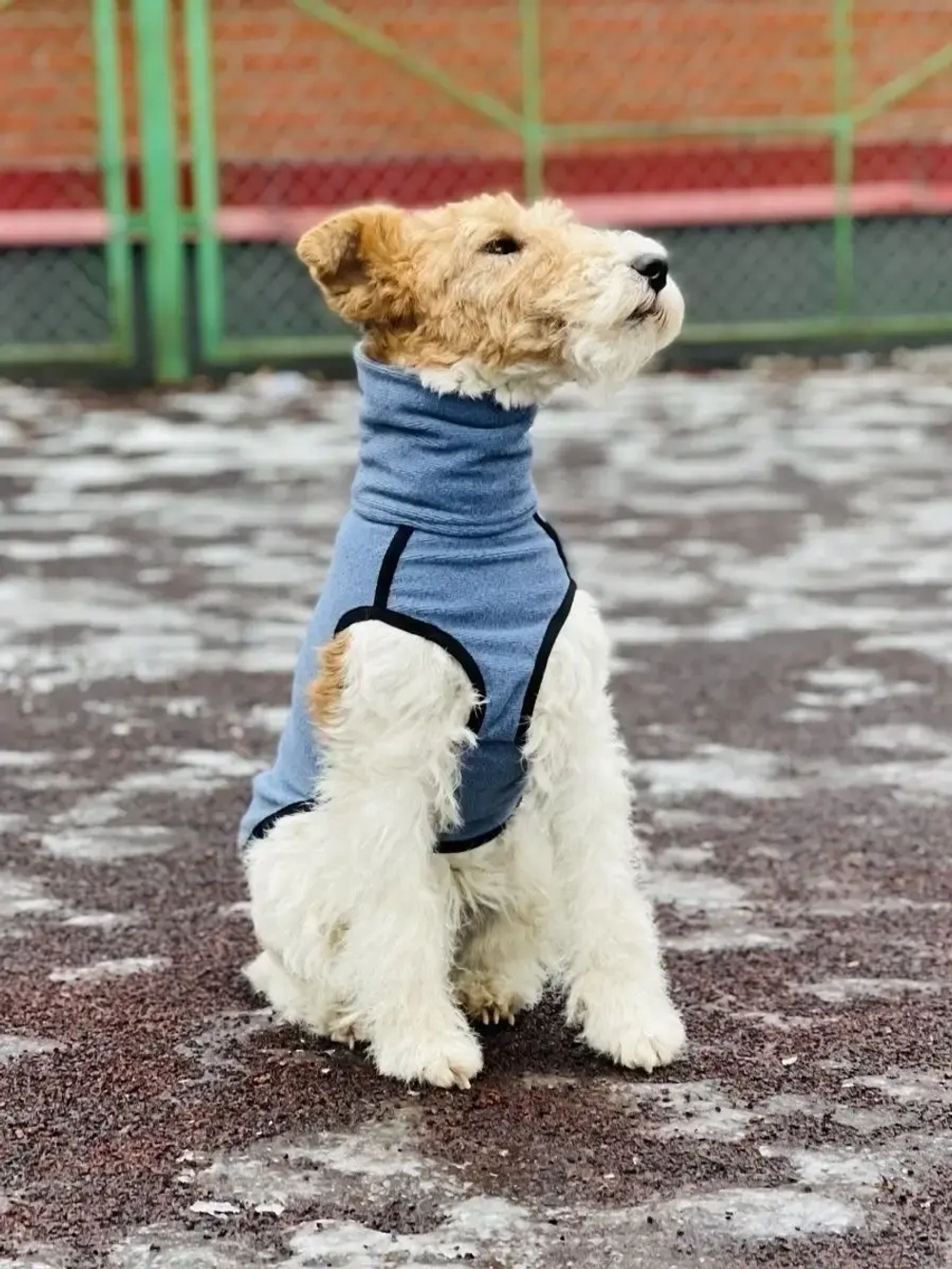 Свитер для собак на молнии попона