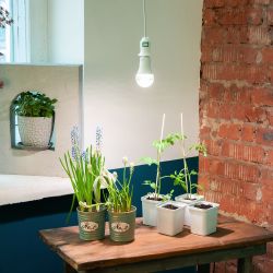 DLC-P-T50B-E27 3M WHITE Патрон подвесной с выключателем и штепсельной вилкой. 300 см. Цоколь Е27. Белый. TM Uniel