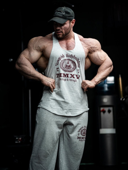 Майка VANQUISH Heritage Stringer Grey