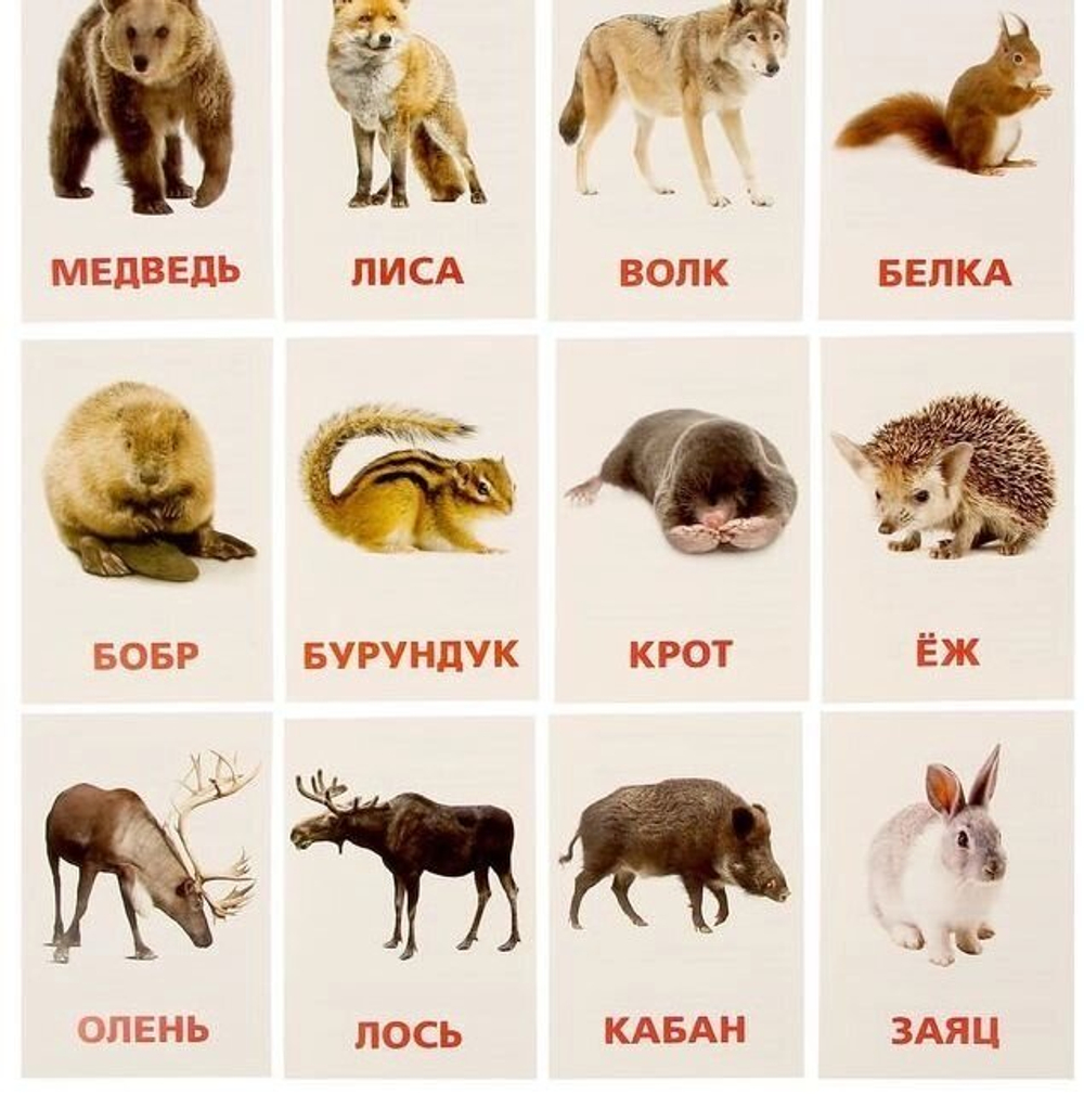 Обучающие карточки по методике Г. Домана "Дикие животные" 1716777