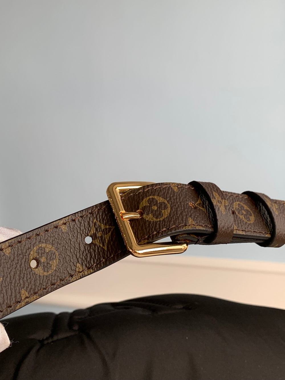 Louis Vuitton Maxi Pillow Bumbag