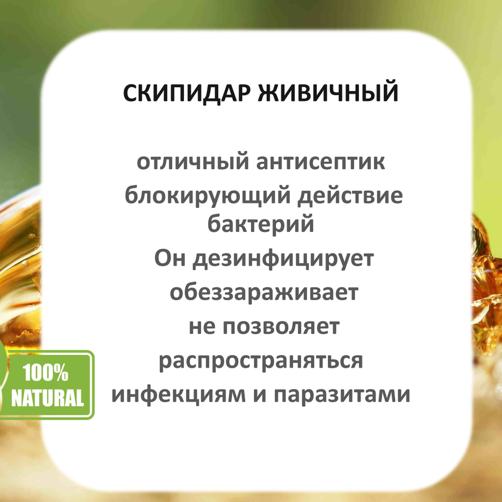 Скипидар живичный / Терпентинное масло