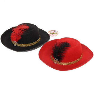 Шляпа карнавальная «Мушкетер» бордо с пером, d-30 см, микс