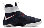 Кроссовки Nike Zoom Soldier 10 Lebron Usa