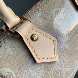 Louis Vuitton Nano Speedy