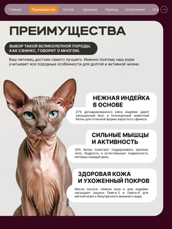 Корм сухой для кошек породы Сфинкс, с индейкой, 400 гр, QUATTRO