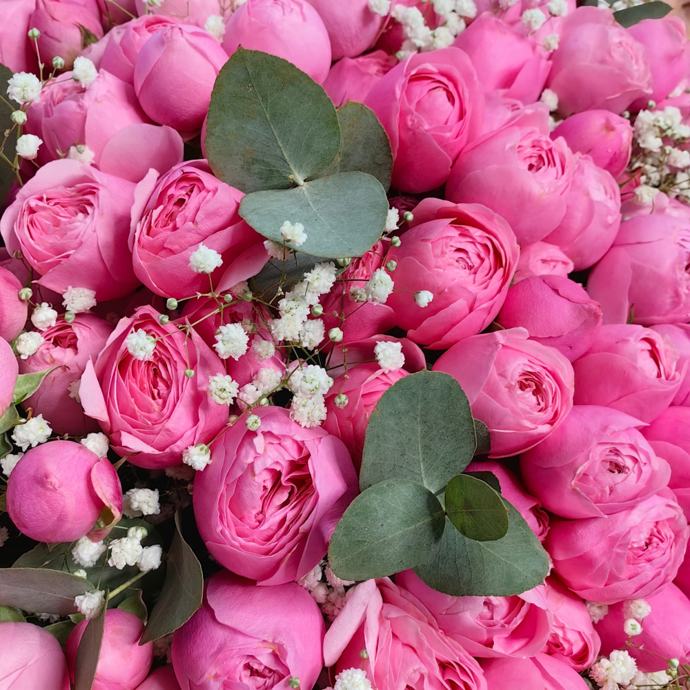 Букет-гигант из 101 кустовой пионовидной розочки сорта "Силва Пинк"