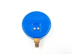 Вакуумметр DSZH WK-18VG (80 мм)