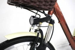 Электровелосипед Green Camel Трайк-24