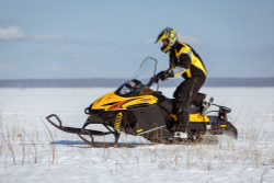Снегоход РУССКАЯ МЕХАНИКА Tiksy 250 Люкс