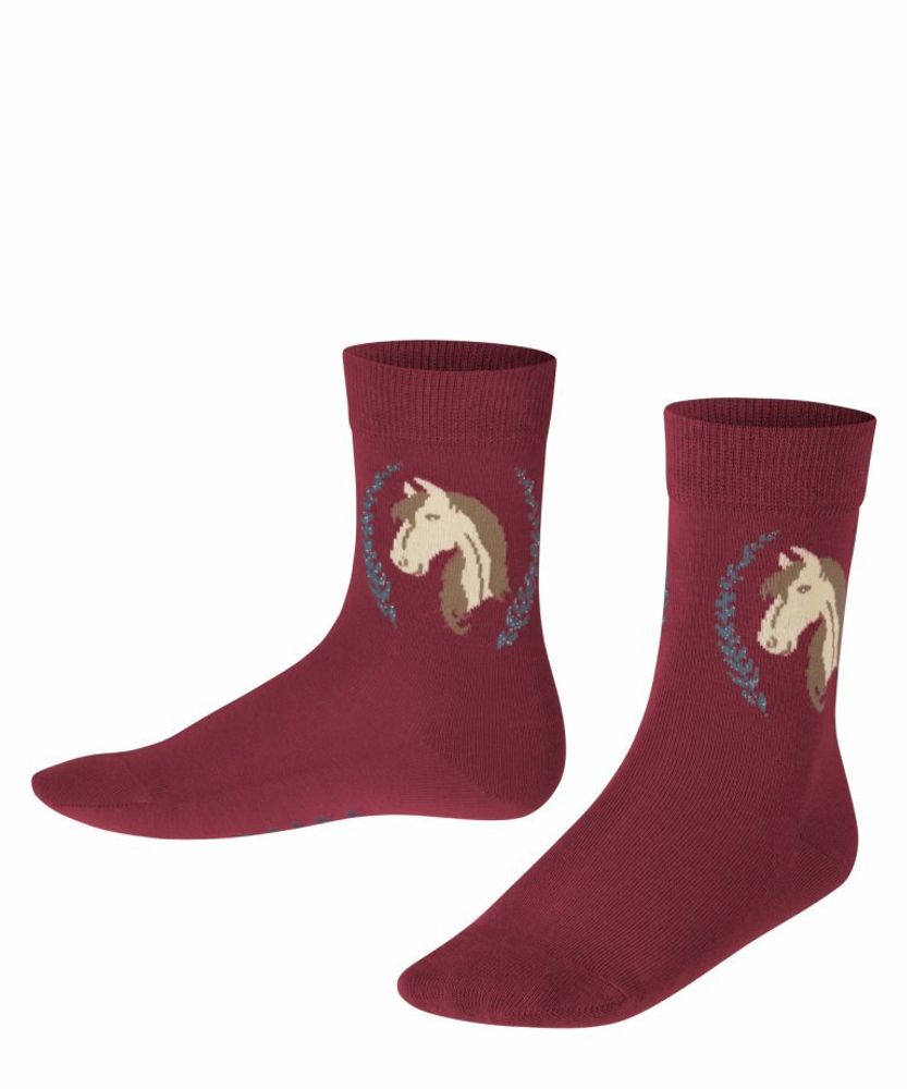 Носки Horse FALKE 12185/8830