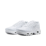 Детские кроссовки Nike Air Max Plus 'White Metallic Silver' CW7044-100