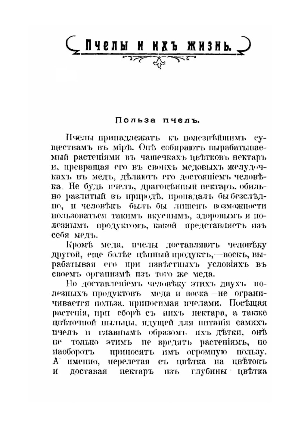 Пчелы и их жизнь | М.А. Дернов