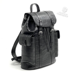 Рюкзак Louis Vuitton Christopher