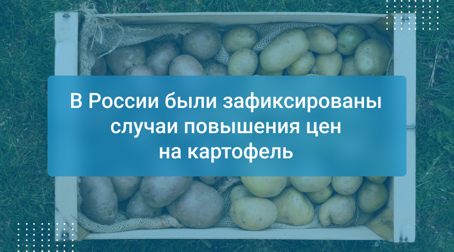 В России были зафиксированы случаи повышения цен на картофель