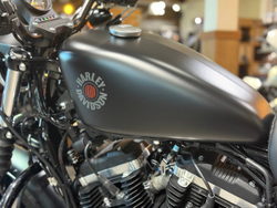 Harley-Davidson Iron 883 (2019)