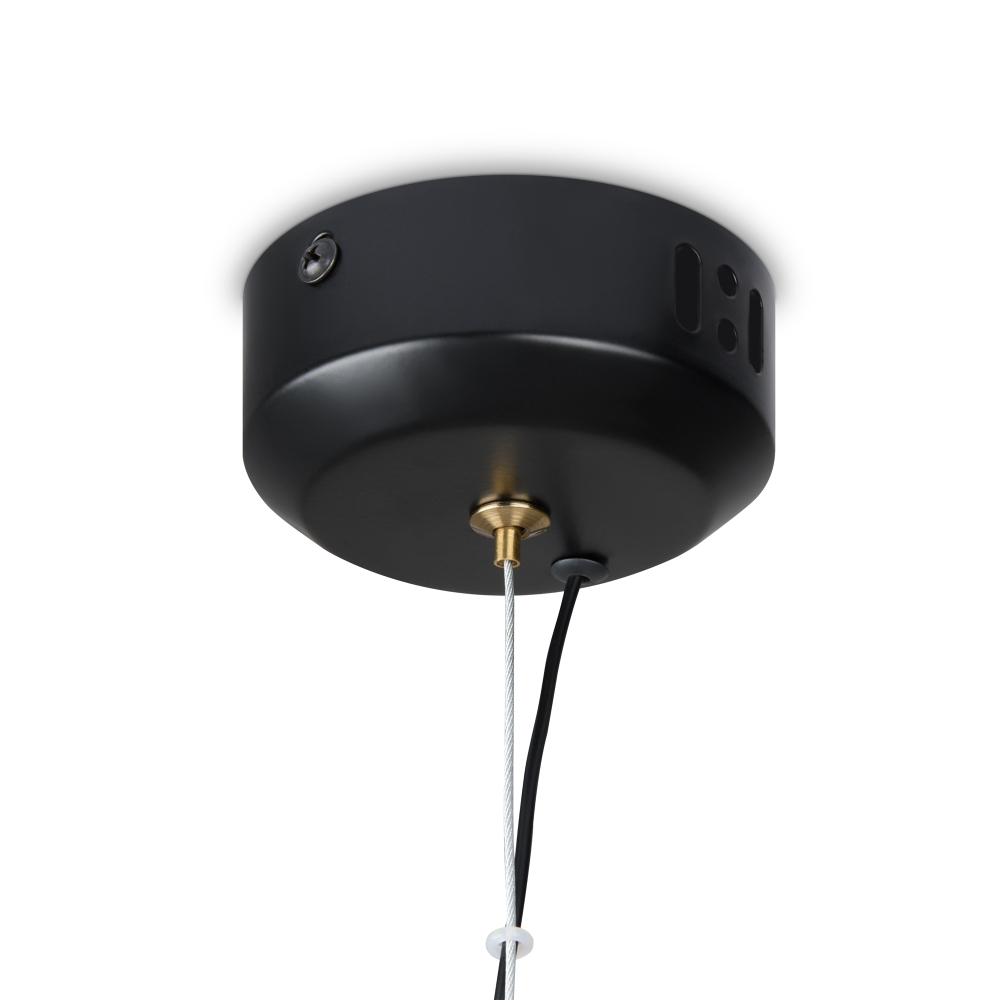 Подвесной светодиодный светильник Freya Enchantment FR5384PL-L5BL