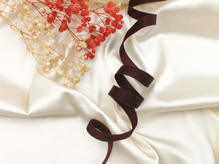 _Бретелечная резинка, ОПТ, 10 мм, бургунди, (Арт: BR640/10-1006), уп