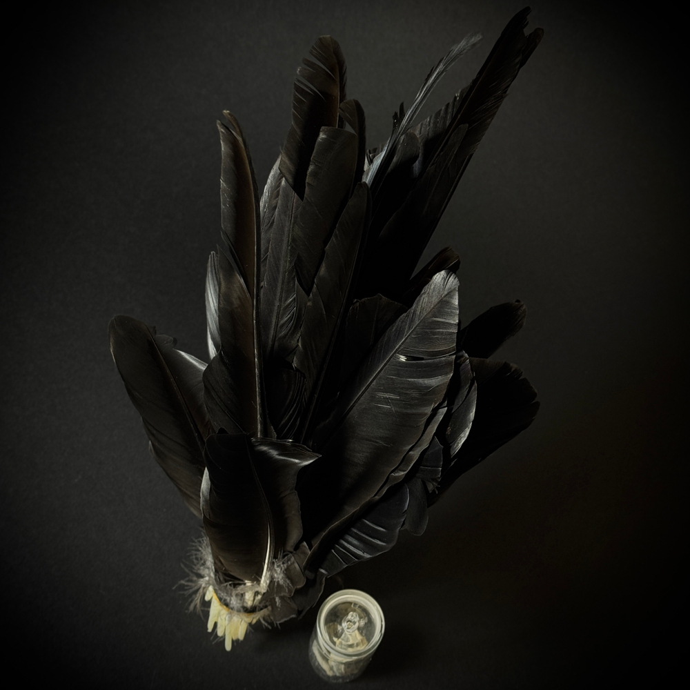 Перья и глаза вОрона