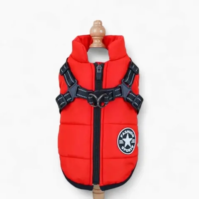 Жилетка «Fashion Star»