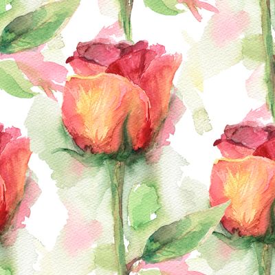 Розовые розы