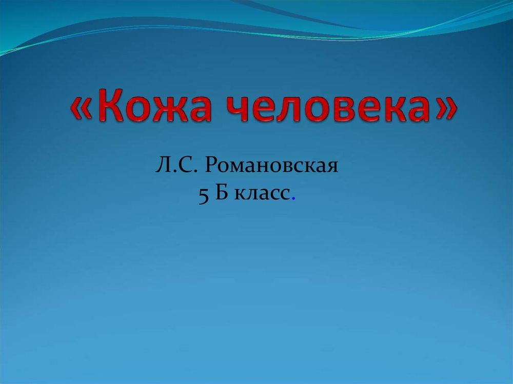 Модель Кожа человека — купить по ФГОС | Учебный стандарт