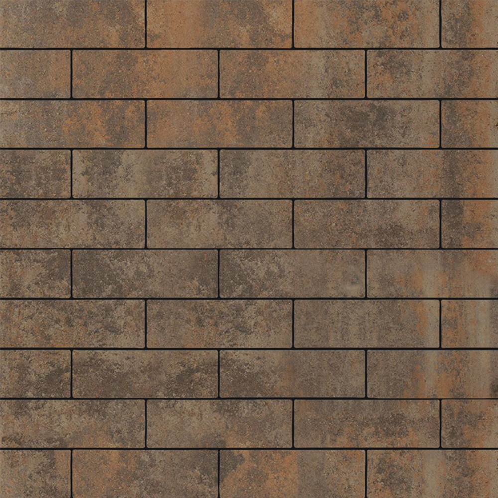 Тротуарная плитка ПРЯМОУГОЛЬНИК 300х100 мм - Листопад гладкий Клен