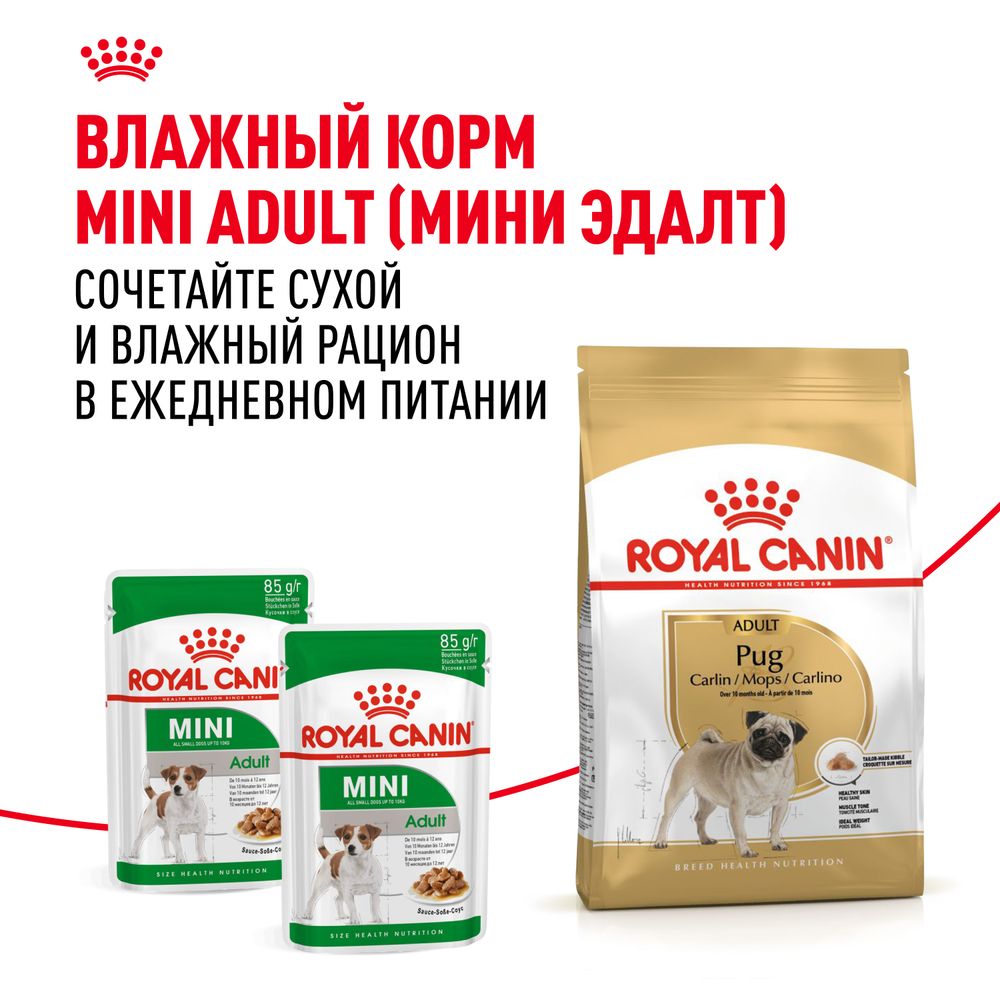 Сухой корм Royal Canin Pug Adult для взрослых собак породы Мопс от 10 месяцев Сухой корм Royal Canin Pug Adult для взрослых собак породы Мопс от 10 месяцев