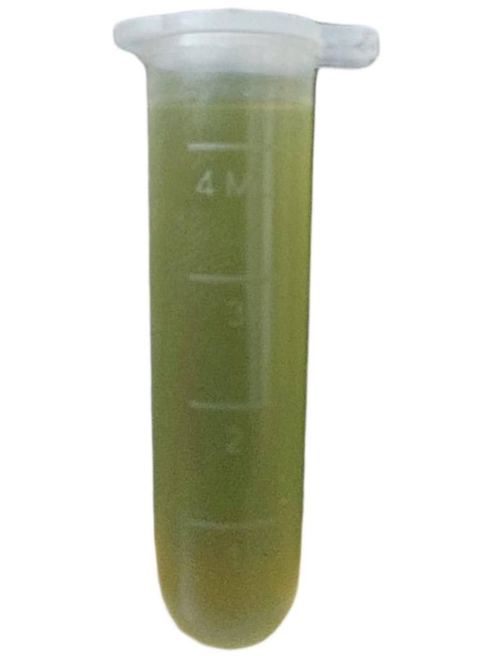 Экстракт морских водорослей,КЕЛПАМ Ауксин 20 мл