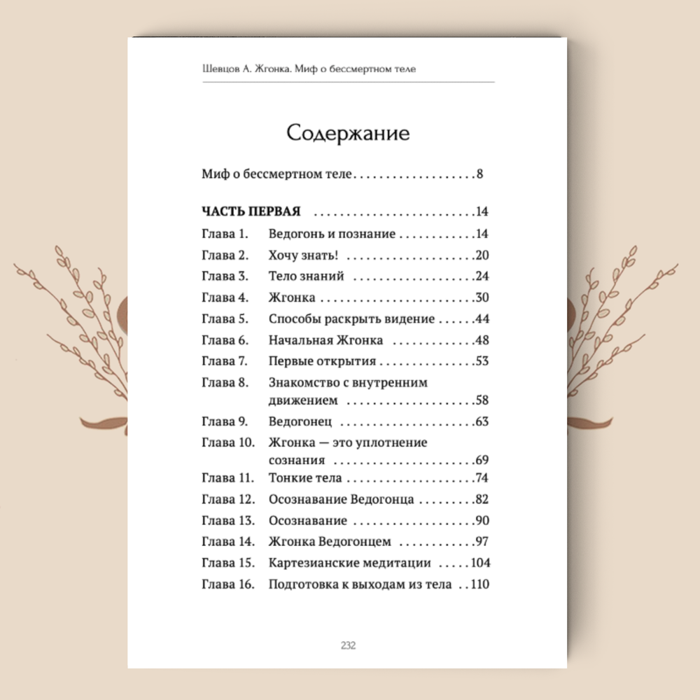 Третья ведогонь. Жгонка. Миф о бессмертном теле. А. Шевцов