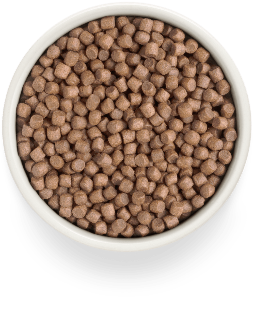 Grandorf Fresh Dog Potato корм сухой беззерновой для собак мелких пород индейка,батат