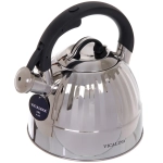 Чайник из нержавеющей стали 3л «Vicalina» VL-9275, матовый