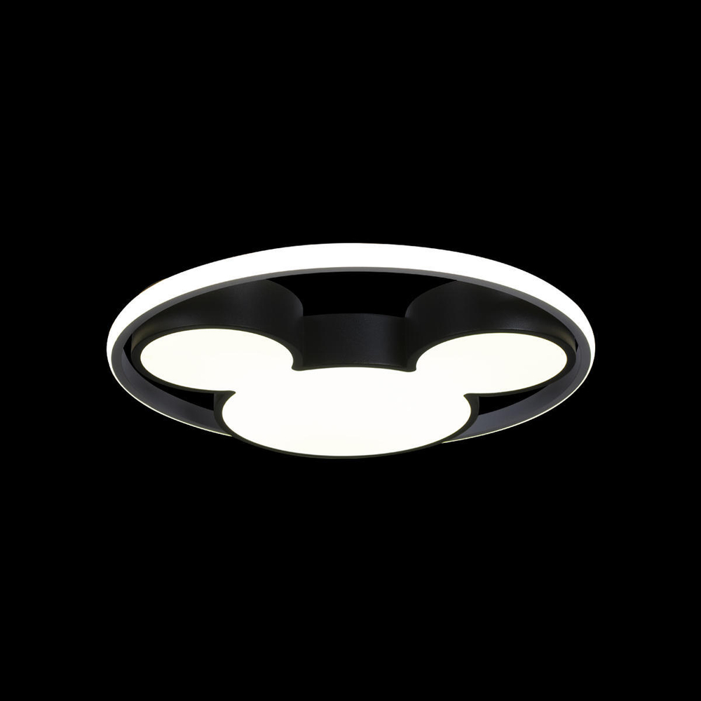 10165 Потолочный светильник LOFT IT Mike