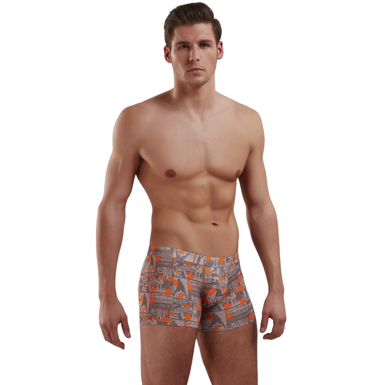 Мужские трусы боксеры серые с принтом Basketball Doreanse 1895