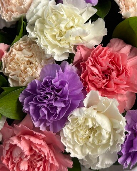 Букет с 39 диантусами в "облачке"