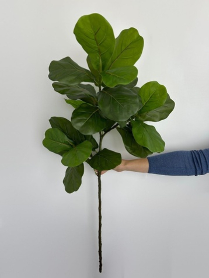 Лирата премиум мелколистная / Арт 3045