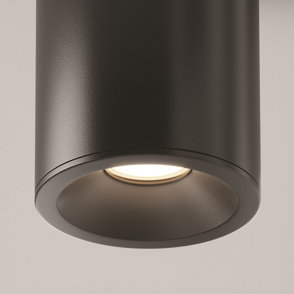 Накладной светильник Maytoni Alfa C029CL-01B