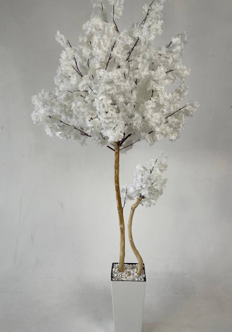 «Мастерская Декора и Деревьев Краснодар»