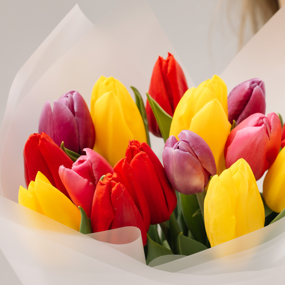 Микс 15 тюльпанов