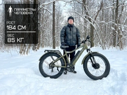 Электрофэтбайк VOLTECO BigCat Dual Next (черный)