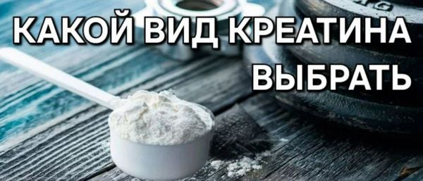Моногидрат или гидрохлорид креатина: что выбрать и в чём разница
