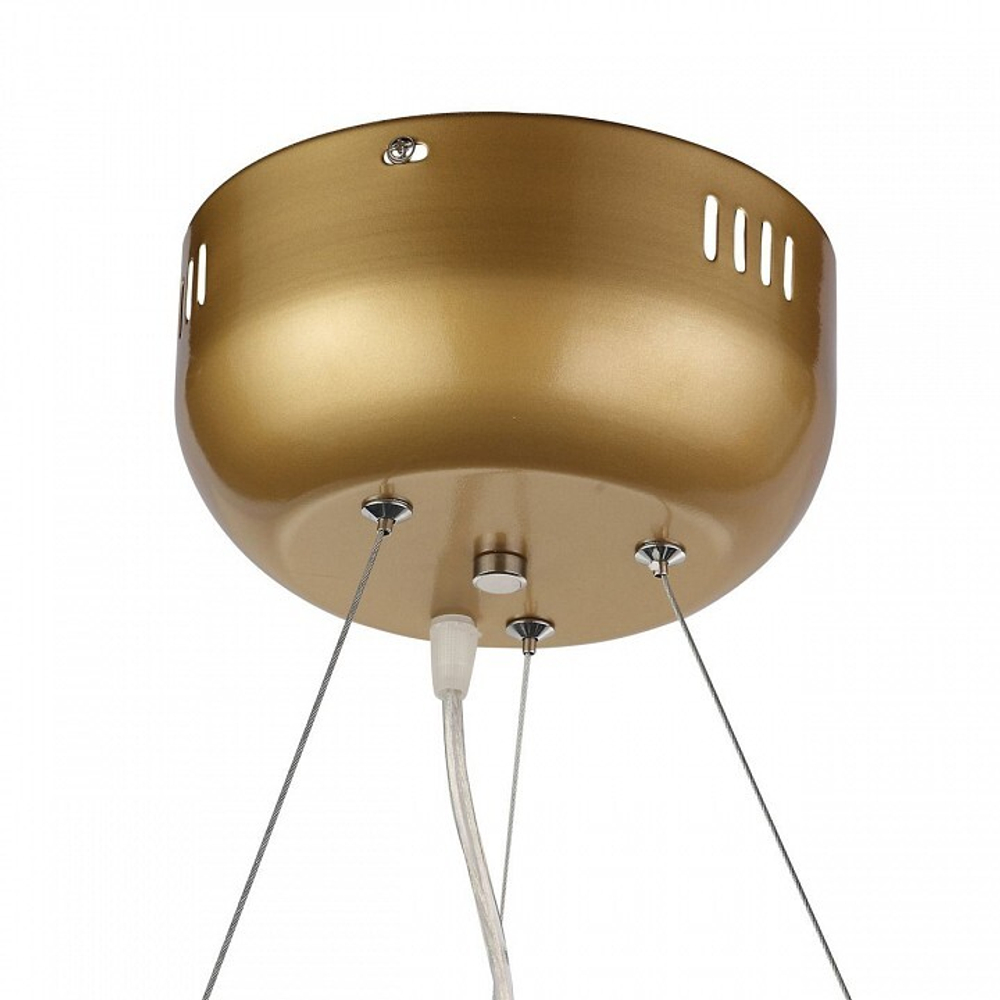 Подвесная люстра ST-Luce SL411.233.45