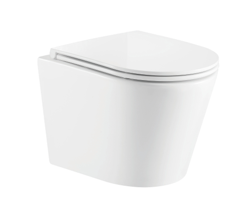 Унитаз подвесной ROVENO PC-051 ТОРНАДО безободковый, дюропласт, микролифт PC-051-T