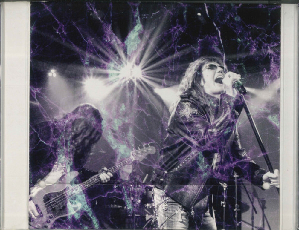 Whitesnake / The Purple Album (Deluxe Edition)(2LP+CD+DVD)