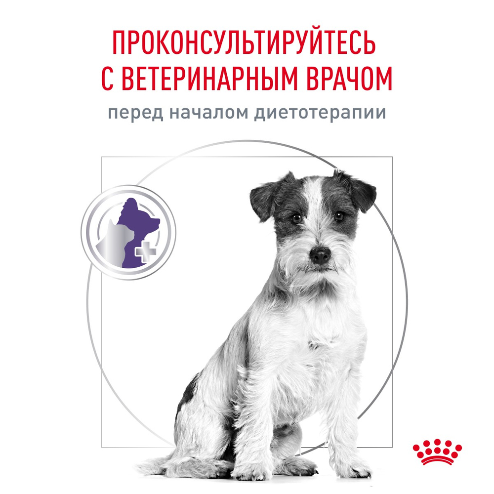 Royal Canin Neutered Adult Small Dogs Ньютрид Эдалт Смол Догз Корм сухой для взрослых стерилизованных кастрированных собак мелких пород 3,5кг
